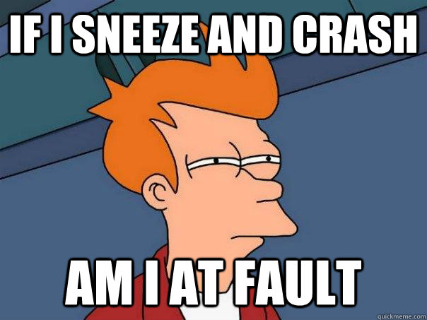 if i sneeze and crash am i at fault - if i sneeze and crash am i at fault  Futurama Fry