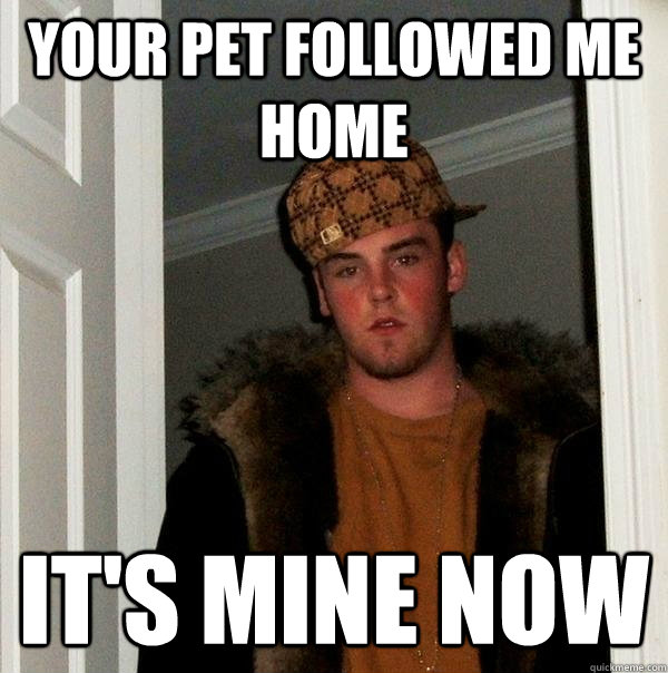 your pet followed me home it's mine now  Scumbag Steve