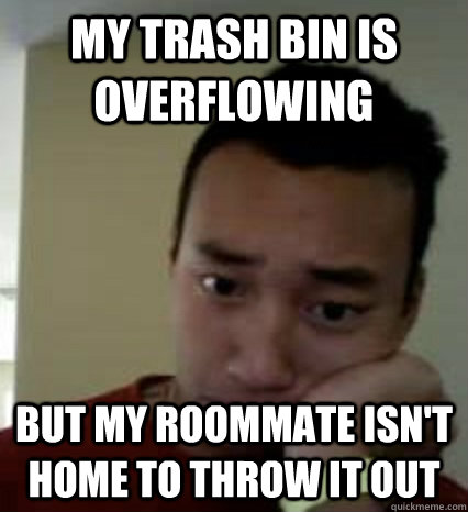 My trash bin is overflowing But my roommate isn't home to throw it out  