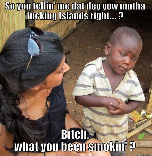 SO YOU TELLIN' ME DAT DEY YOW MUTHA FUCKING ISLANDS RIGHT.... ? BITCH, WHAT YOU BEEN SMOKIN' ? Skeptical Third World Kid