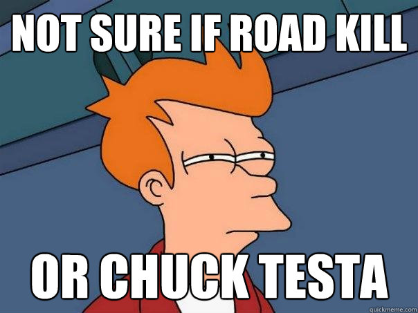 Not sure if Road Kill  Or Chuck testa  Futurama Fry