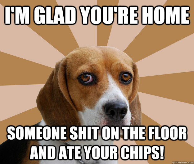 I'm glad you're home someone shit on the floor and ate your chips!   