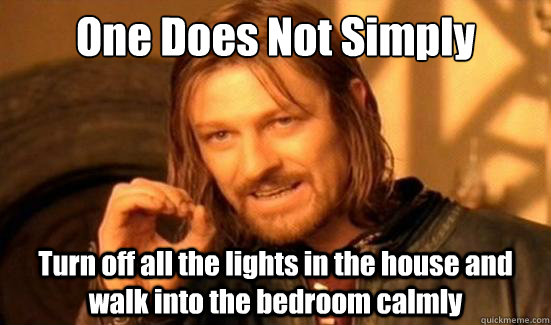 One Does Not Simply Turn off all the lights in the house and walk into the bedroom calmly  Boromir