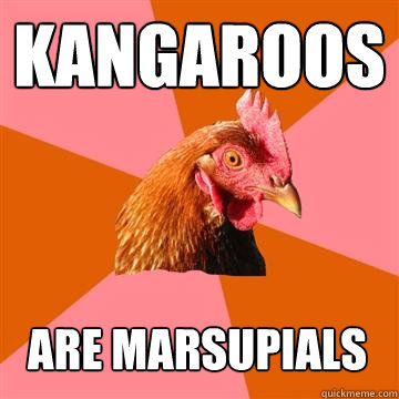 Kangaroos are marsupials  Anti-Joke Chicken