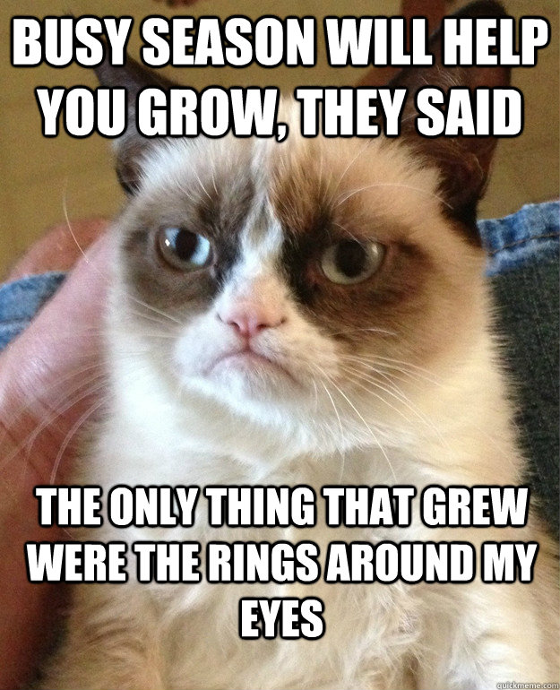 busy season will help you grow, they said the only thing that grew were the rings around my eyes  Grumpy Cat