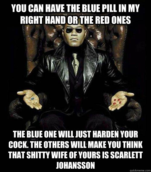 you can have the blue pill in my right hand or the red ones the blue one will just harden your cock. The others will make you think that shitty wife of yours is scarlett johansson  Morpheus