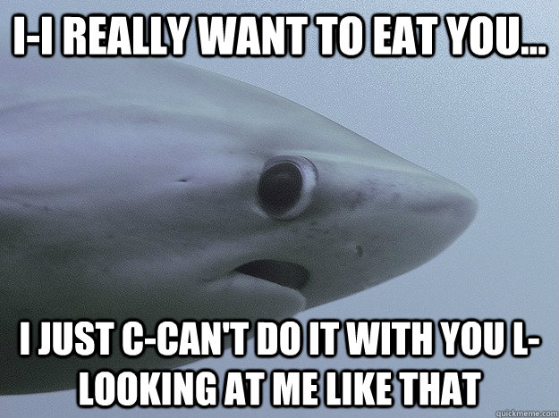 I-I really want to eat you... I just c-can't do it with you l-looking at me like that  Shy Shark