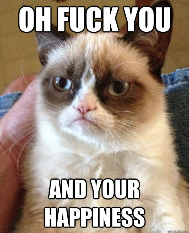 oh fuck you and your happiness  Grumpy Cat