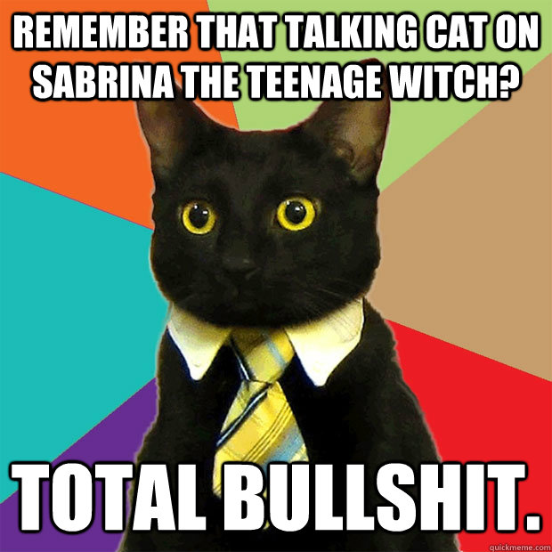 Remember that talking cat on Sabrina the Teenage Witch? Total Bullshit.  Business Cat