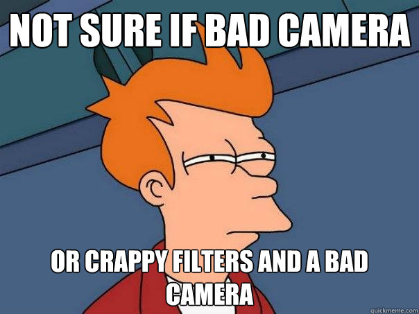 Not sure if bad camera Or crappy filters and a bad camera  Futurama Fry