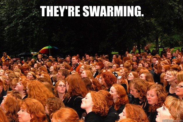 They're swarming. - They're swarming.  Ginger Swarm