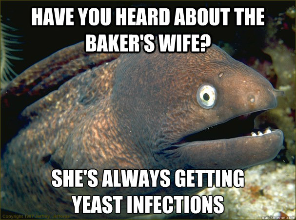 Have you heard about the baker's wife? She's always getting 
yeast infections  Bad Joke Eel