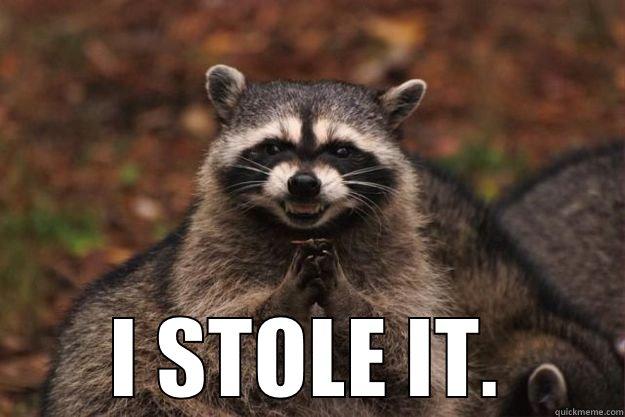  I STOLE IT. Evil Plotting Raccoon