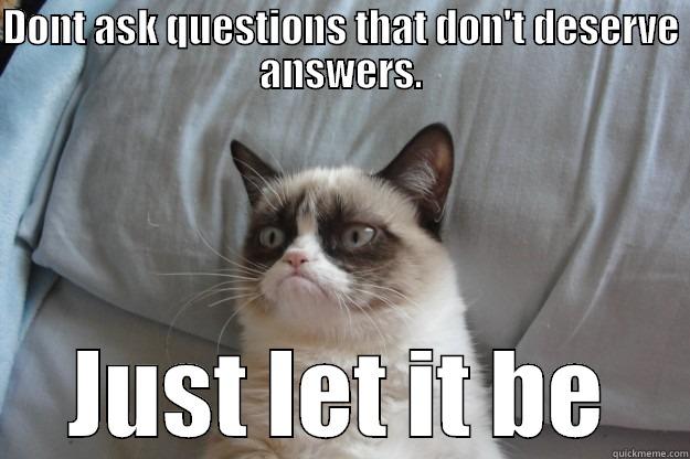 DONT ASK QUESTIONS THAT DON'T DESERVE ANSWERS. JUST LET IT BE Grumpy Cat