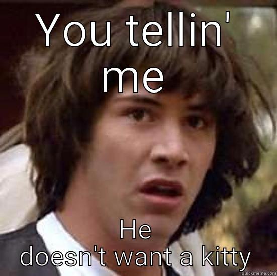 YOU TELLIN' ME HE DOESN'T WANT A KITTY conspiracy keanu