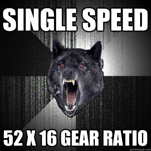 Single Speed 52 x 16 gear ratio  Insanity Wolf