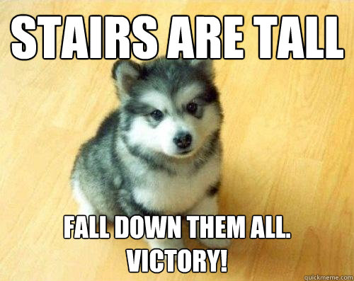 Stairs are tall Fall down them all.  Victory!  Baby Courage Wolf