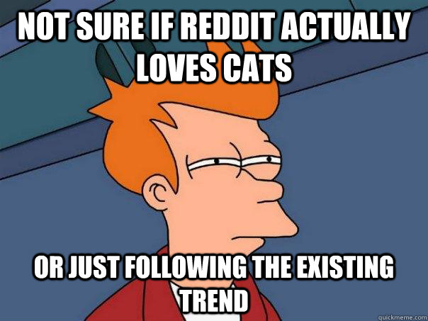 NOT SURE IF REDDIT ACTUALLY LOVES CATS OR JUST FOLLOWING THE EXISTING TREND  Futurama Fry