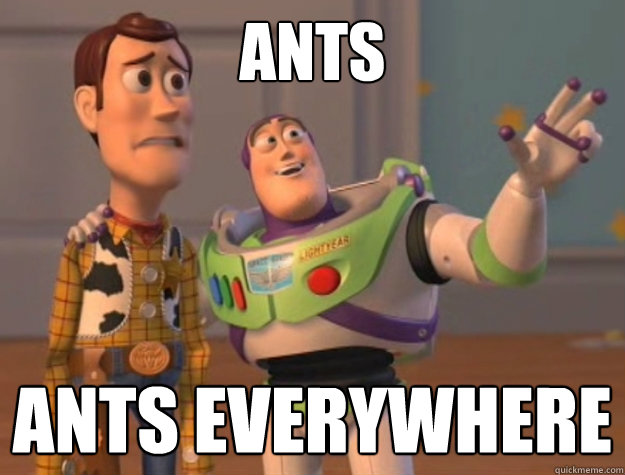 ants ants everywhere  Buzz Lightyear