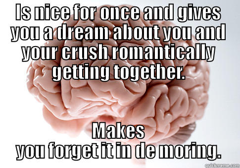 IS NICE FOR ONCE AND GIVES YOU A DREAM ABOUT YOU AND YOUR CRUSH ROMANTICALLY GETTING TOGETHER. MAKES YOU FORGET IT IN DE MORING. Scumbag Brain