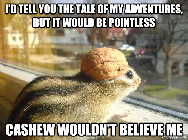 i'd tell you the tale of my adventures, but it would be pointless cashew wouldn't believe me - i'd tell you the tale of my adventures, but it would be pointless cashew wouldn't believe me  Adventure Chipmunk