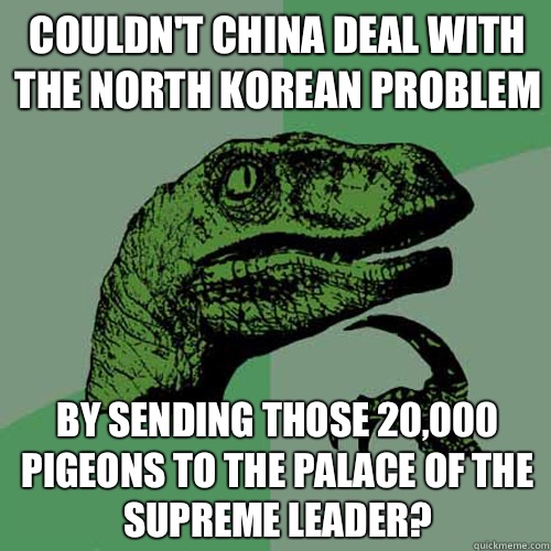 Couldn't China deal with the North Korean problem By sending those 20,000 pigeons to the palace of the Supreme Leader?  Philosoraptor