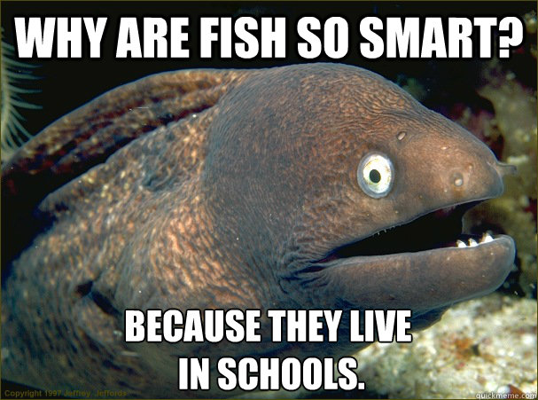 Why are fish so smart? Because they live
 in schools.  Bad Joke Eel