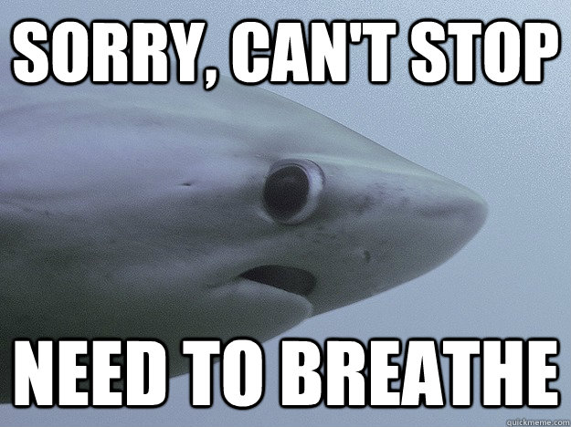 Sorry, can't stop Need to breathe  Shy Shark