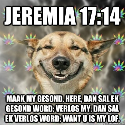 JEREMIA 17:14 Maak my gesond, HERE, dan sal ek gesond word; verlos my, dan sal ek verlos word; want U is my lof.  Stoner Dog