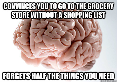 Convinces you to go to the grocery store without a shopping list Forgets half the things you need  Scumbag Brain