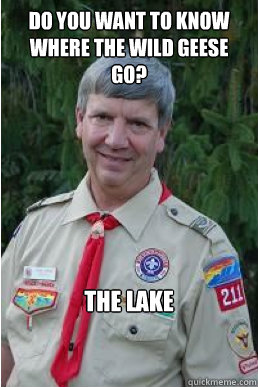 Do you want to know where the wild geese go? The LAKE   Harmless Scout Leader