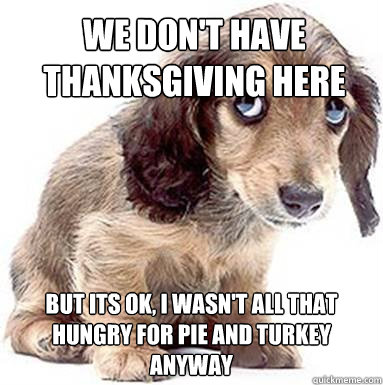 We don't have thanksgiving here But its OK, I wasn't all that hungry for pie and turkey anyway  