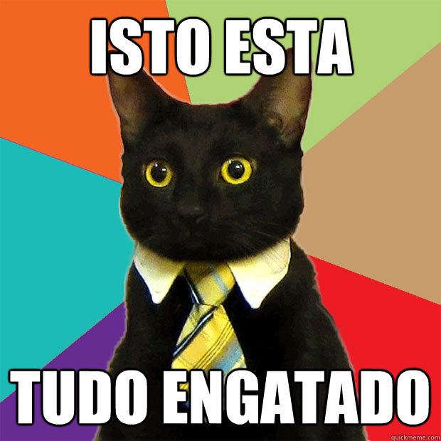 Isto esta tudo engatado  Business Cat