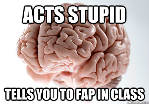 acts stupid tells you to fap in class  Scumbag Brain