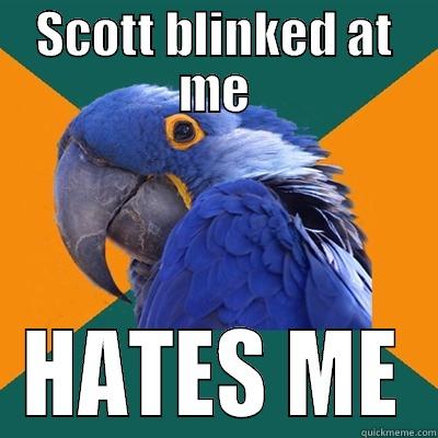 SCOTT BLINKED AT ME HATES ME Paranoid Parrot