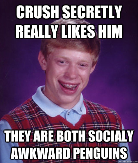 crush secretly really likes him they are both Socialy Awkward Penguins  Bad Luck Brian