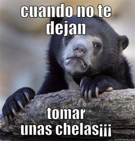 CUANDO NO TE DEJAN TOMAR UNAS CHELAS¡¡¡ Confession Bear