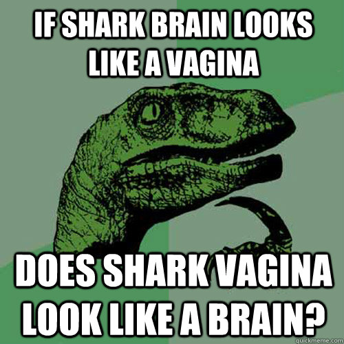 if shark brain looks like a vagina does shark vagina look like a brain?   Philosoraptor