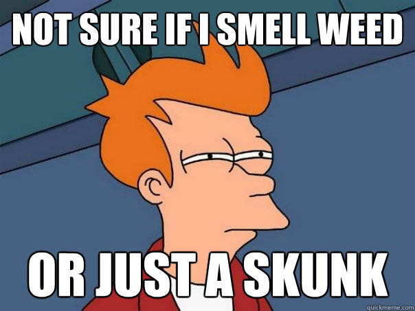 not sure if I smell weed or just a skunk - not sure if I smell weed or just a skunk  Futurama Fry