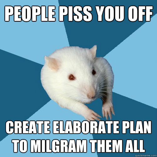 People piss you off create elaborate plan to Milgram them all - People piss you off create elaborate plan to Milgram them all  Psychology Major Rat