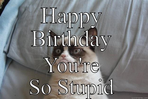 HAPPY BIRTHDAY YOU'RE SO STUPID Grumpy Cat