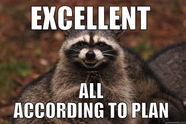 Heheh Eviiilll - EXCELLENT ALL ACCORDING TO PLAN Evil Plotting Raccoon