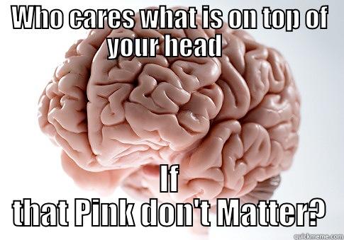 WHO CARES WHAT IS ON TOP OF YOUR HEAD   IF THAT PINK DON'T MATTER? Scumbag Brain