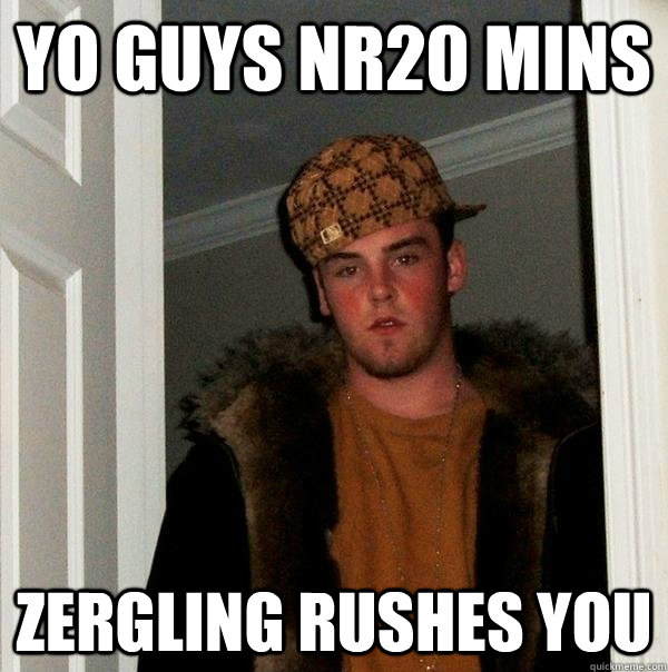 Yo guys NR20 mins Zergling rushes you - Yo guys NR20 mins Zergling rushes you  Scumbag Steve