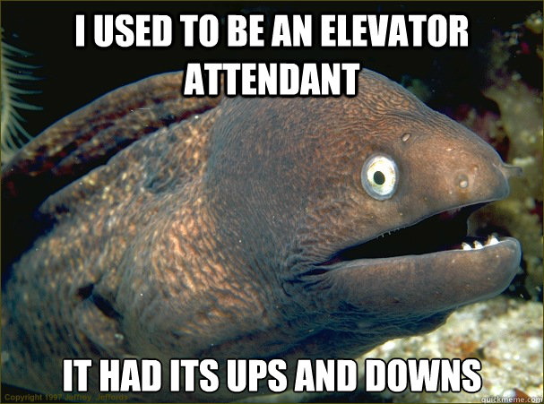 I used to be an elevator attendant it had its ups and downs - I used to be an elevator attendant it had its ups and downs  Bad Joke Eel