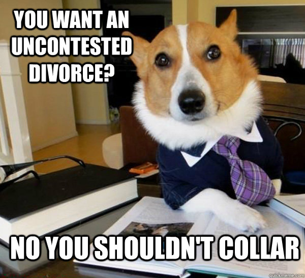 You want an uncontested divorce? No you shouldn't collar  Lawyer Dog