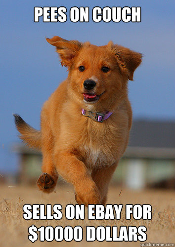 Pees on couch Sells on ebay for $10000 dollars  Ridiculously Photogenic Puppy