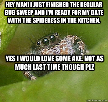 Hey man! I just finished the regular bug sweep and I'm ready for my date with the spideress in the kitchen. Yes I would love some axe. Not as much last time though plz  Misunderstood Spider