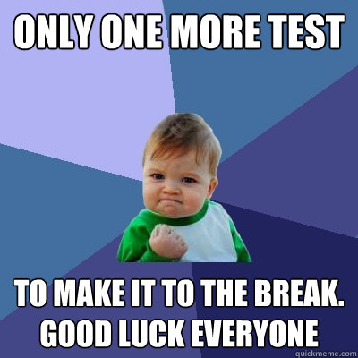 only one more test to make it to the break. Good luck everyone  Success Kid