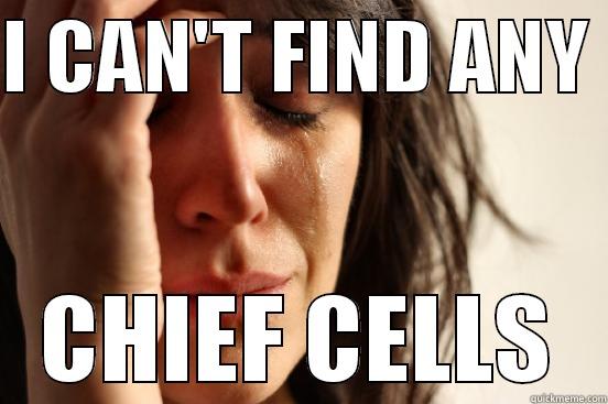 I CAN'T FIND ANY  CHIEF CELLS First World Problems